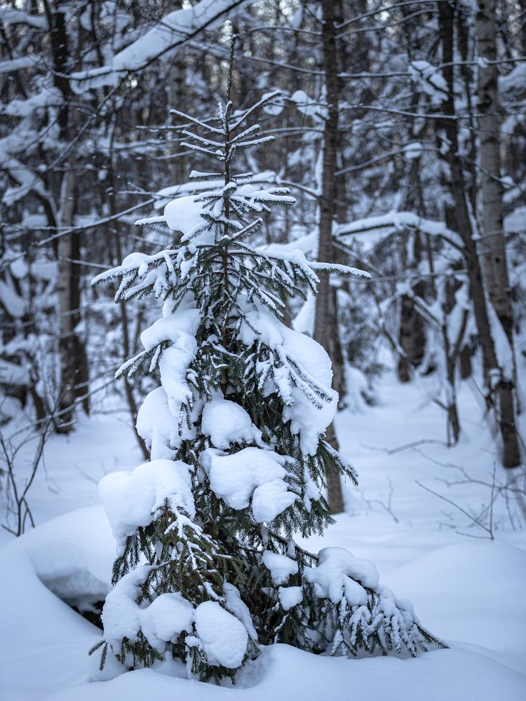 Photograph by Марина Демидова