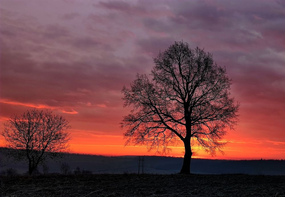 Photograph by Инна Макарчук