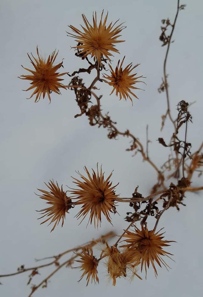 Photograph by Андрей Зиновьев