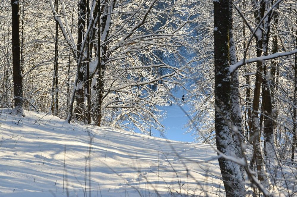 Photograph by Valentina Kolotova