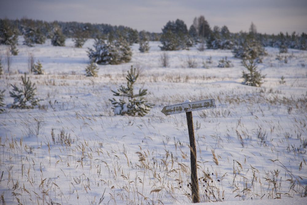 Photograph by NIKOLAY GORBUNOV