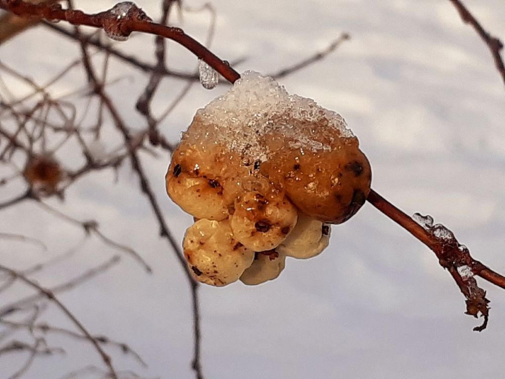 Photograph by Евгения Ульянова