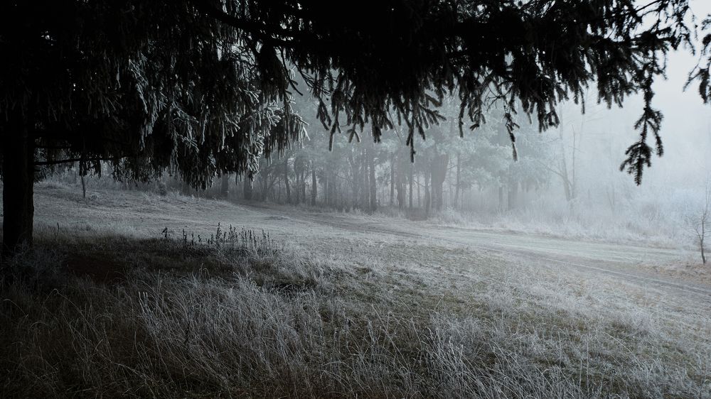 Фотография автора Ведь Денис