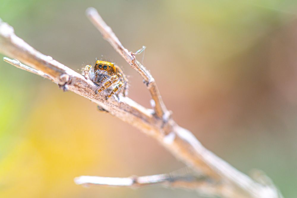 Фотография автора Владислав Жуков
