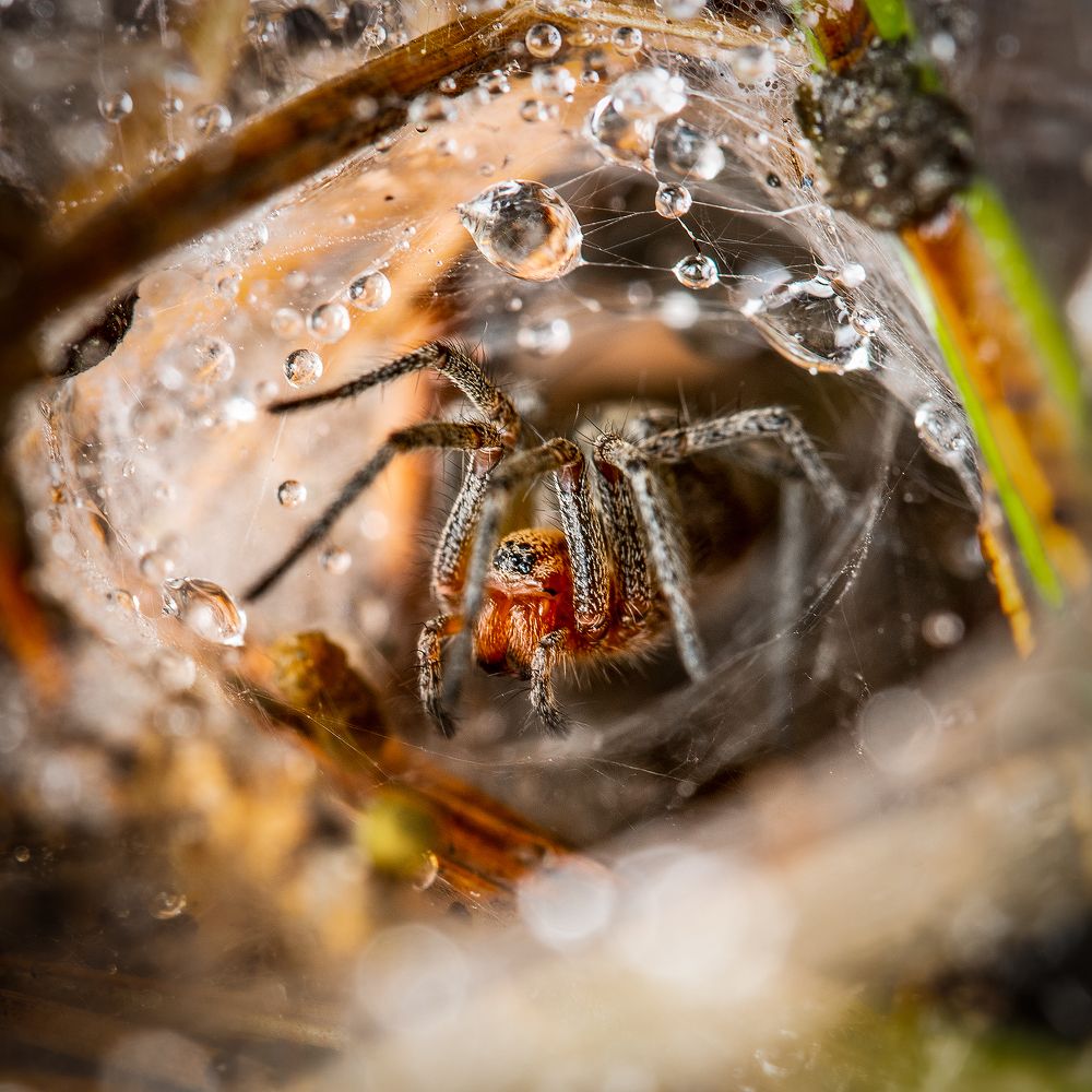 Фотография автора Владислав Жуков