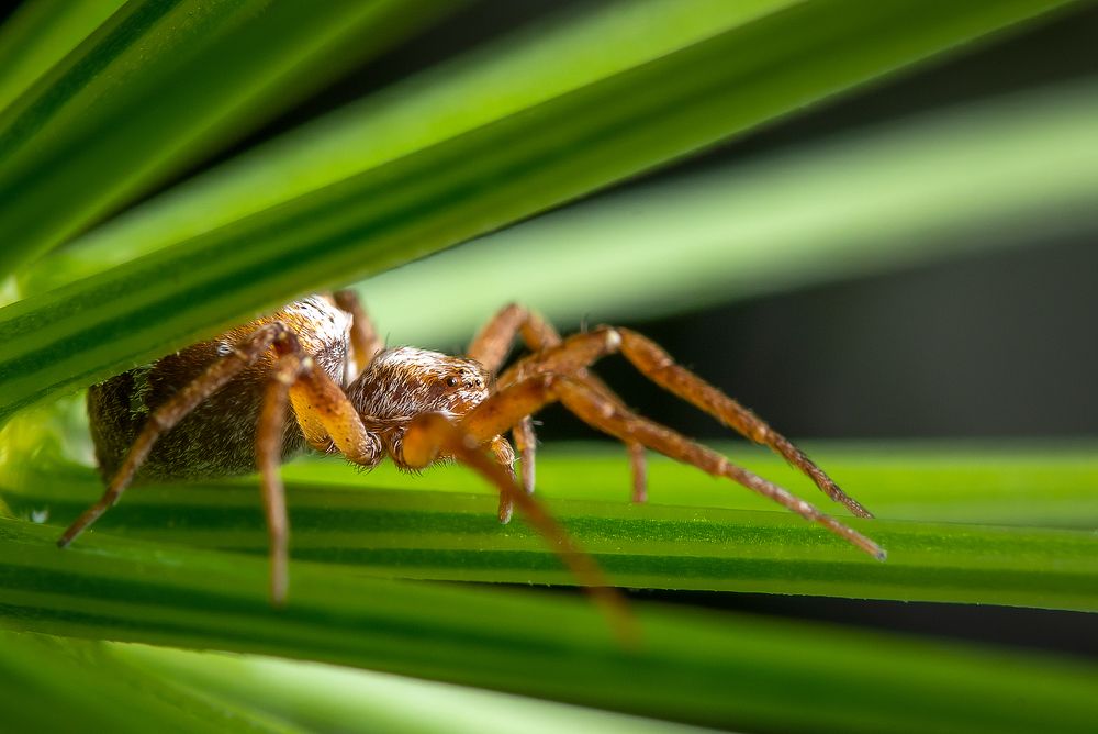 Фотография автора Владислав Жуков