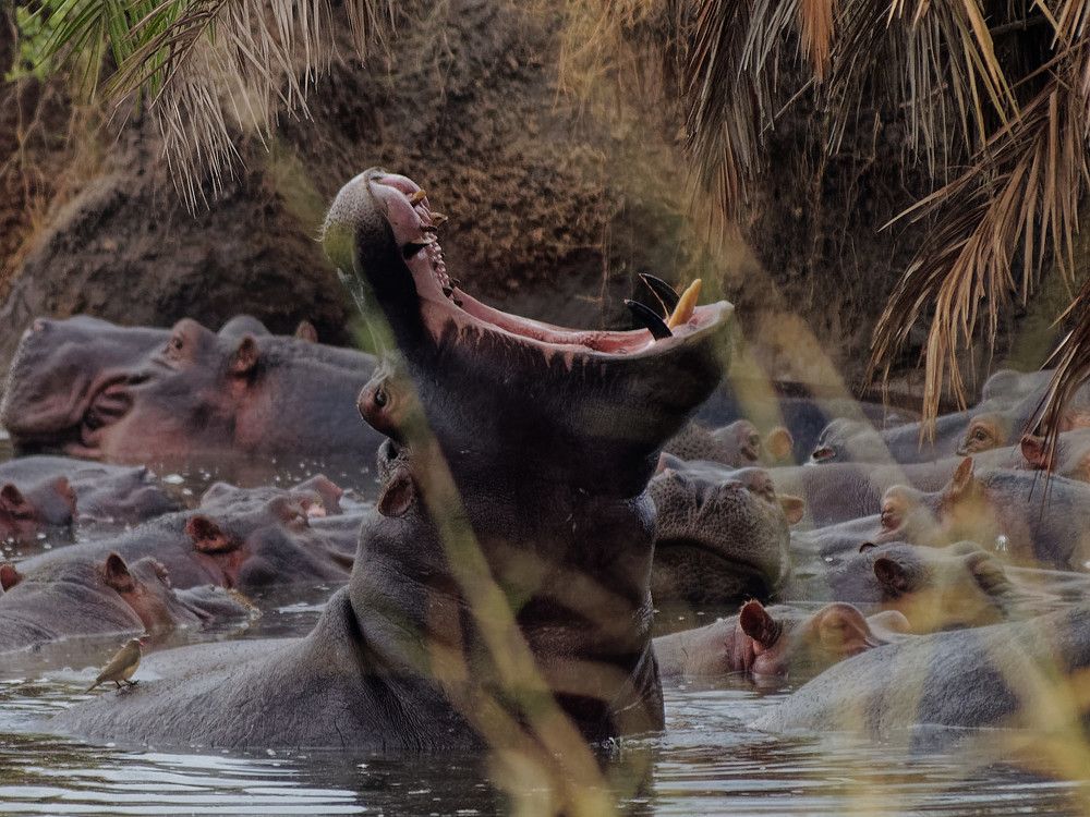 Photograph by Андрей Панин