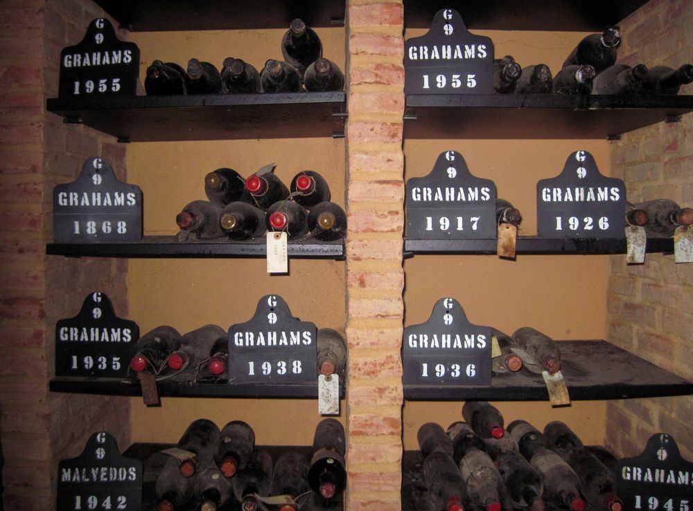 Фотография автора Ольга Войтехович