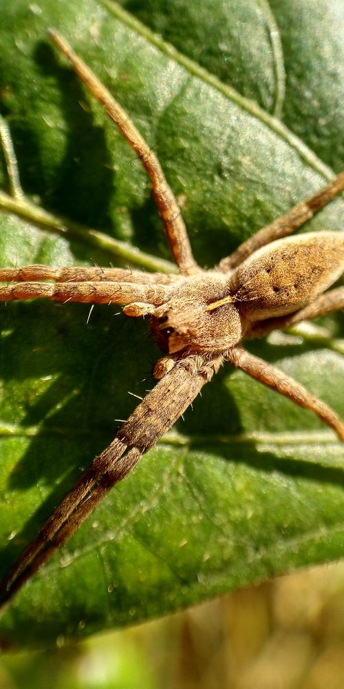 Photograph by Варвара Петросян
