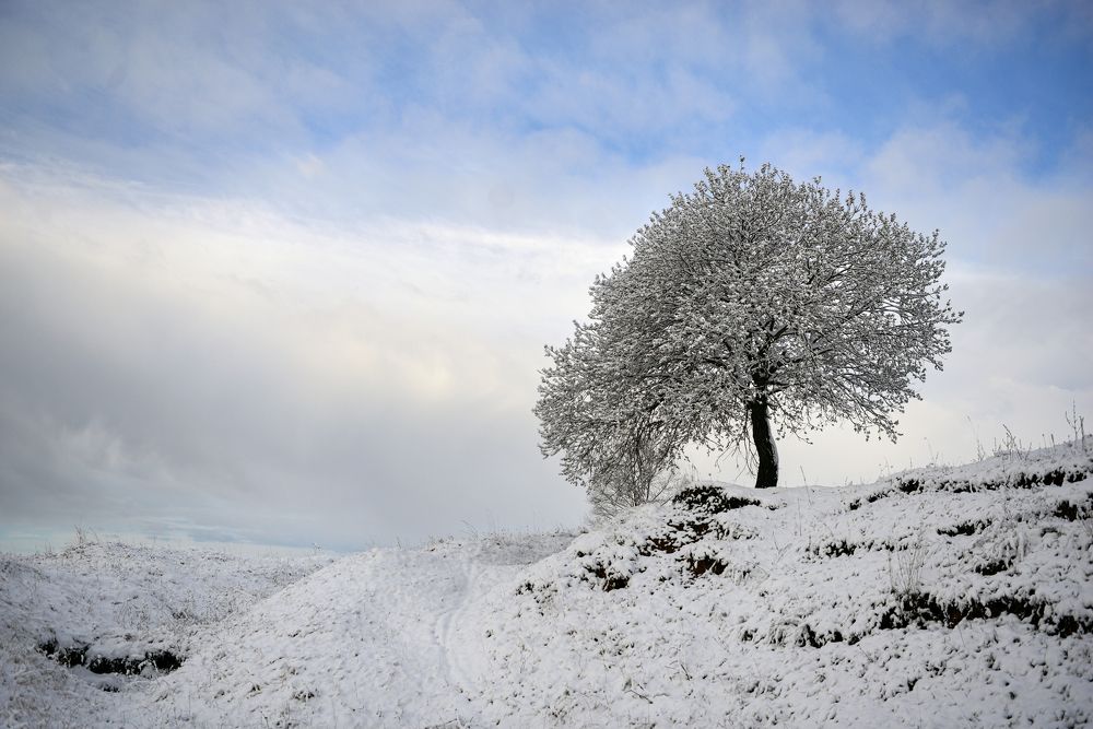 Между небом и землей