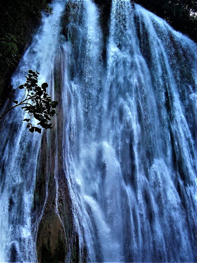 Photograph by Ева К.