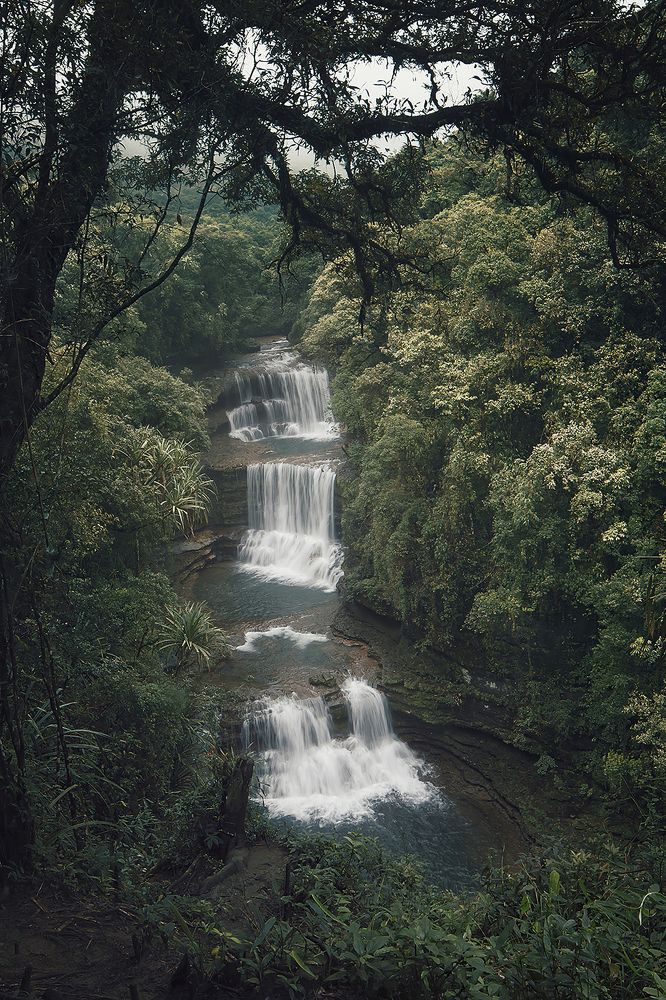 Photograph by Niranjan Baishya