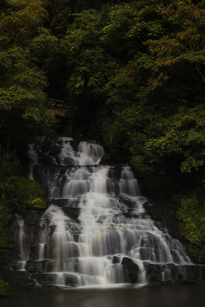 Photograph by Niranjan Baishya