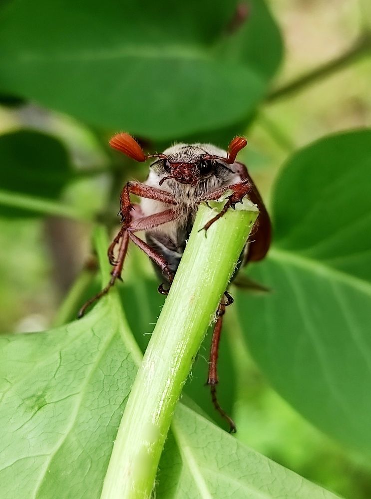 Photograph by Инна Макарчук