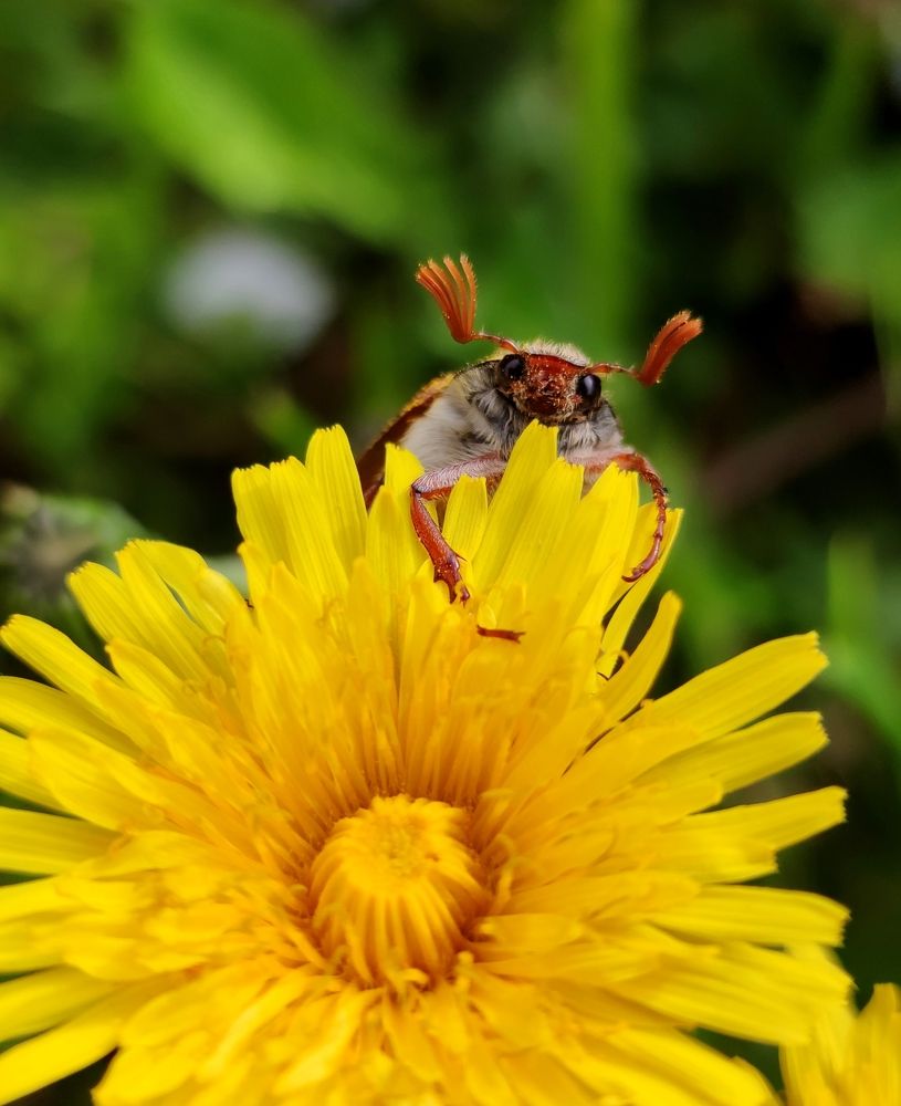 Photograph by Инна Макарчук