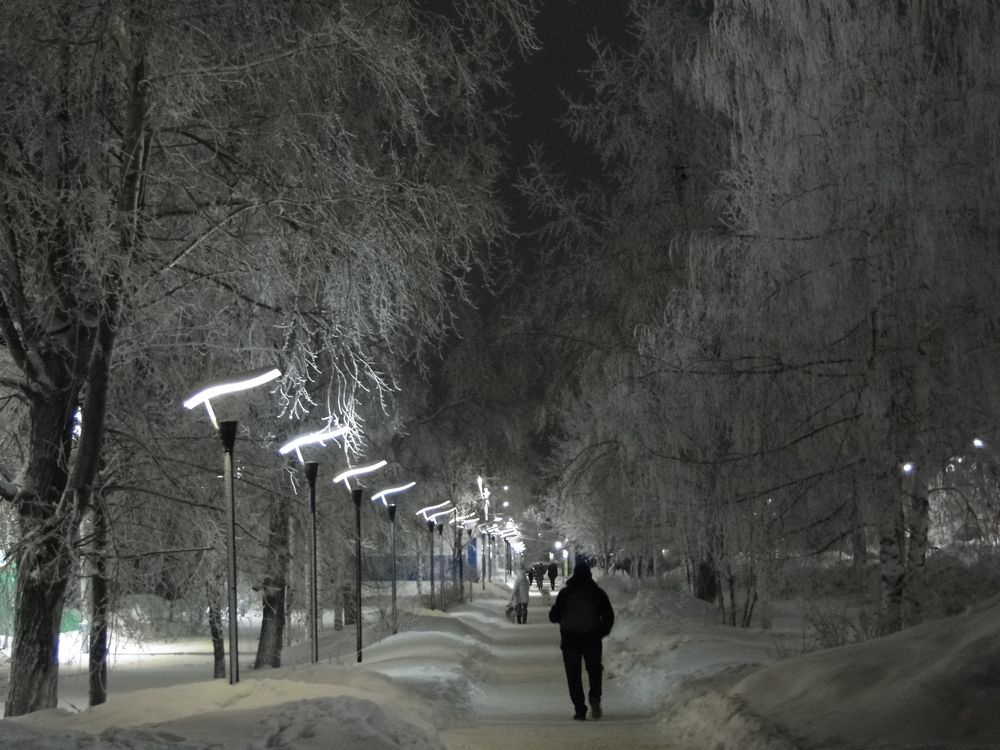 Центральная аллея, посёлок Северный