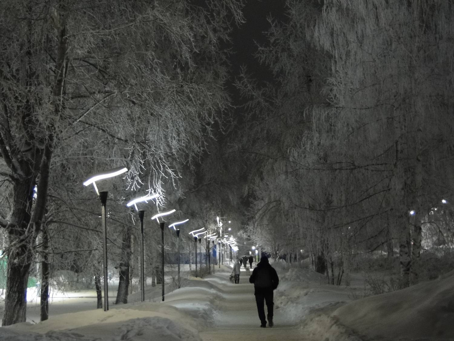 Центральная аллея, посёлок Северный