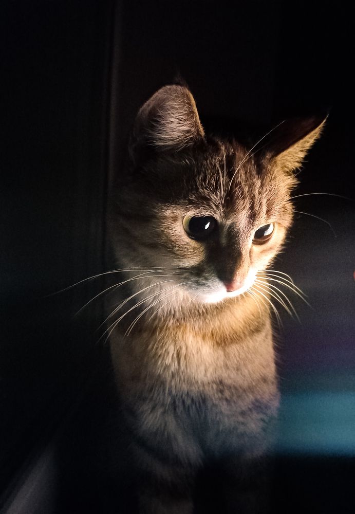 Photograph by Герман Корнеев