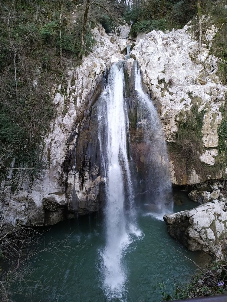 Photograph by Elvira Maksimova