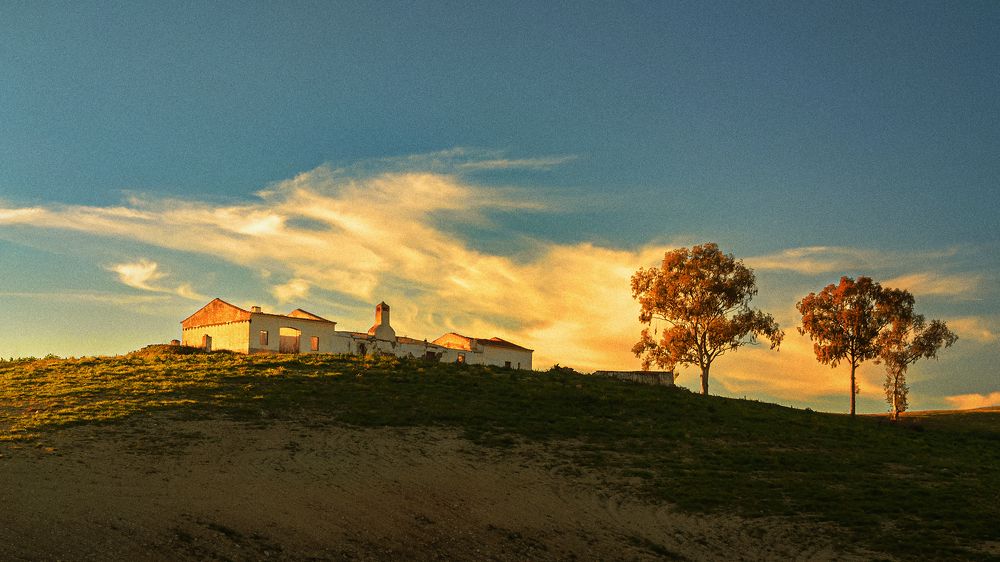 Photograph by Veaceslav Chisalita