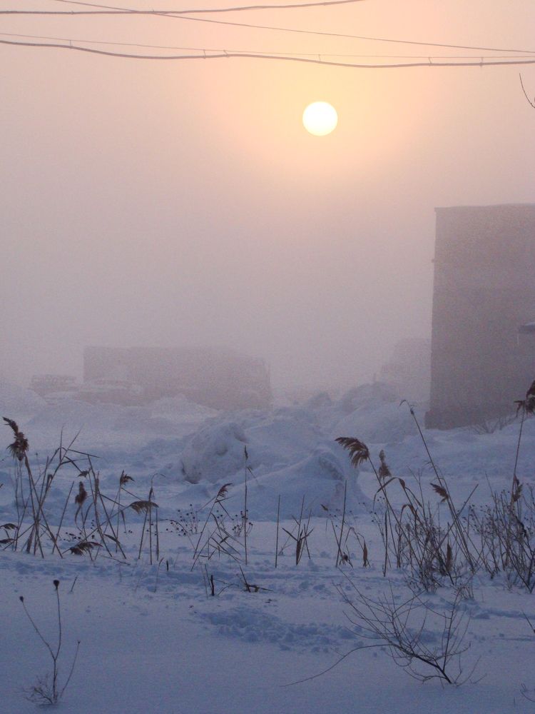 Photograph by Алёна Данильчук