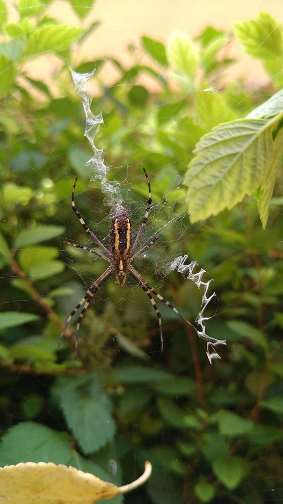 Фотография автора Svetlana Tsvetanova
