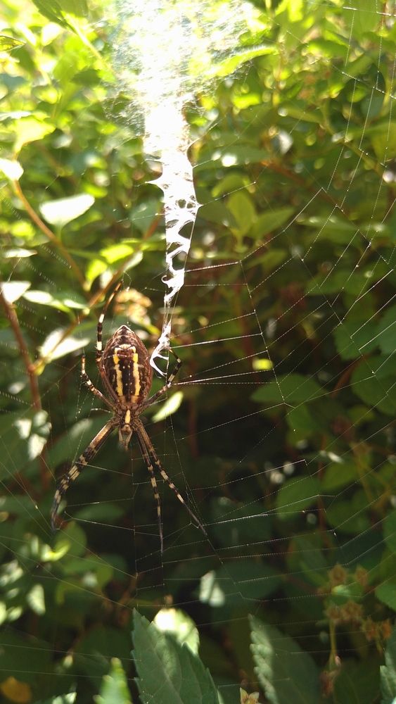 Фотография автора Svetlana Tsvetanova
