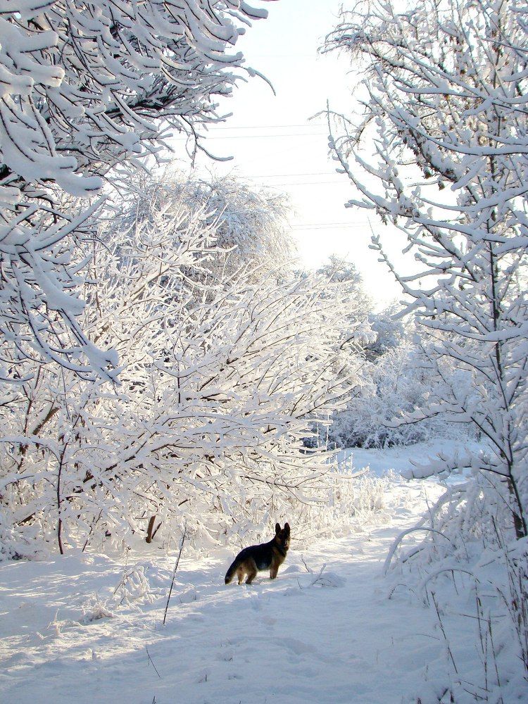 Photograph by Алёна Данильчук