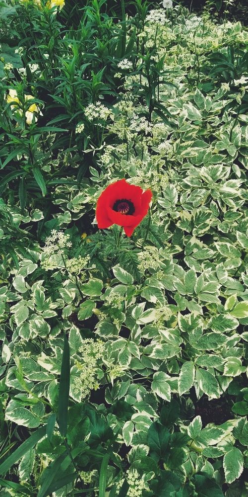 Photograph by Анастасия