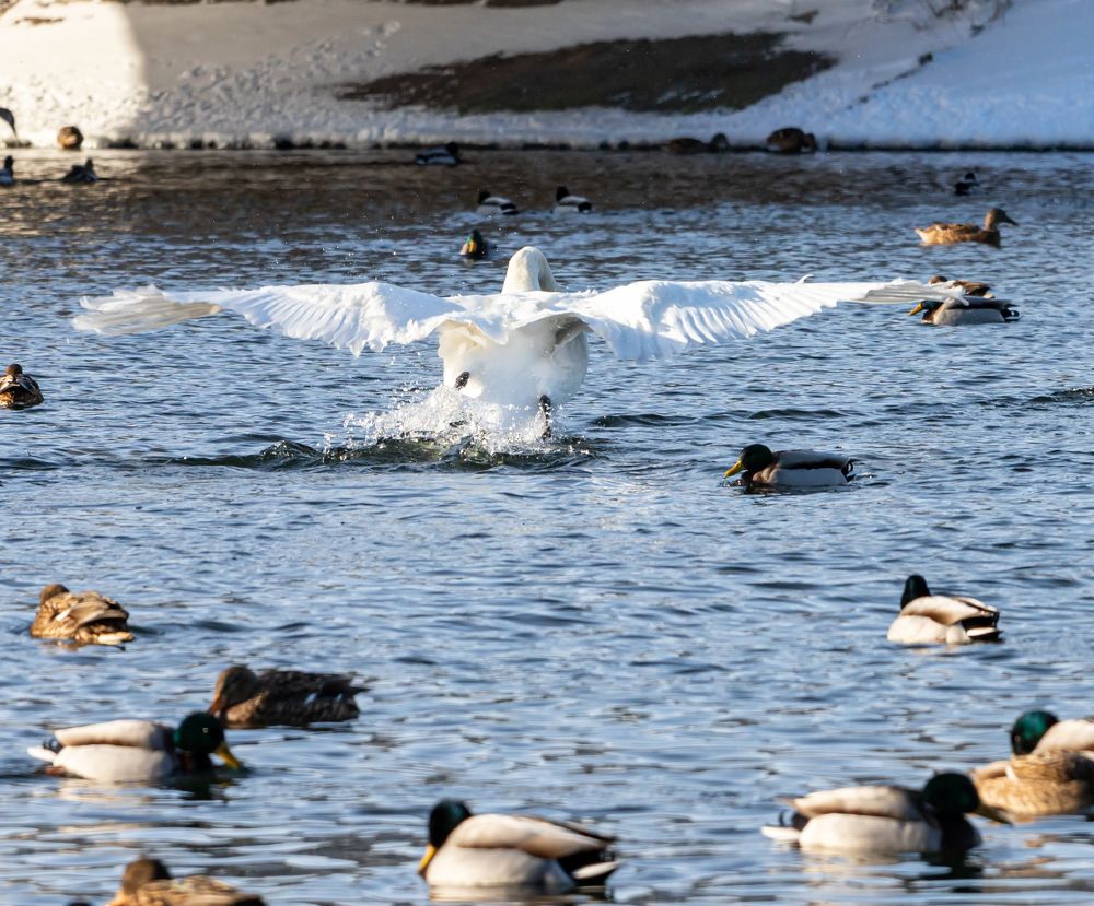 Photograph by Елена Иванова