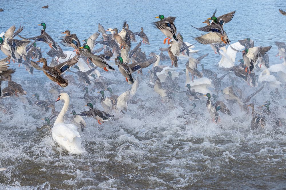 Photograph by Елена Иванова