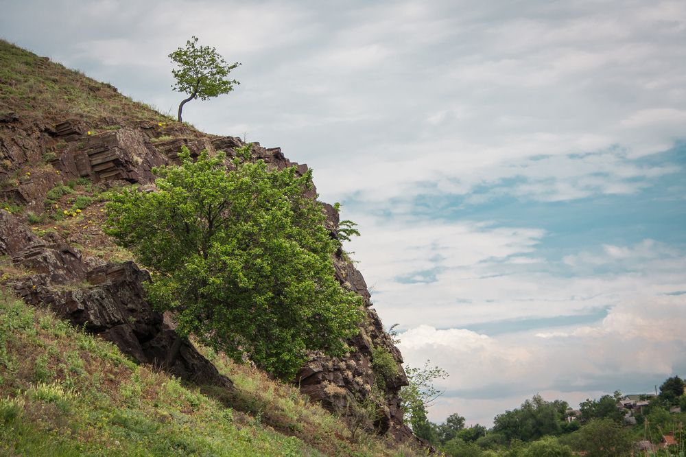 Photograph by Алёна Данильчук