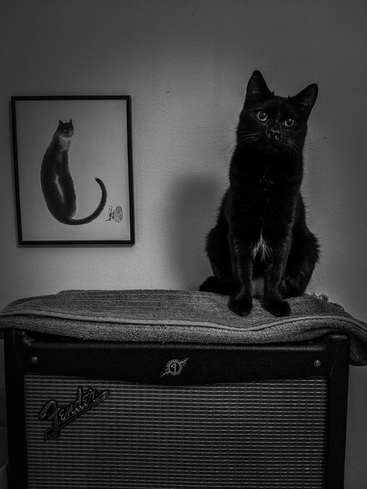 Photograph by Георгий Акопджанов