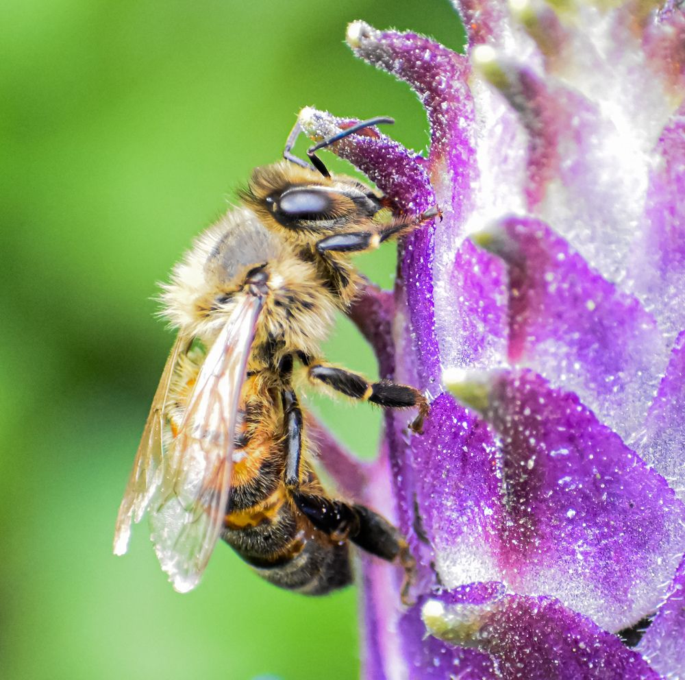 Photograph by Andrea