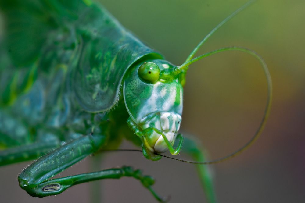 Photograph by Andrea