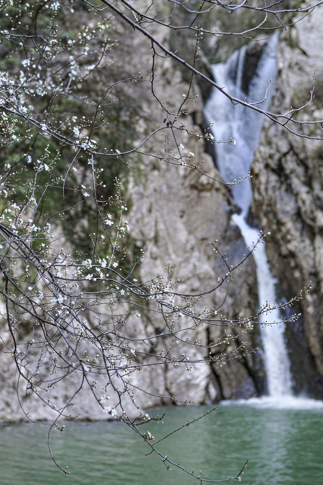 Photograph by Elvira Maksimova