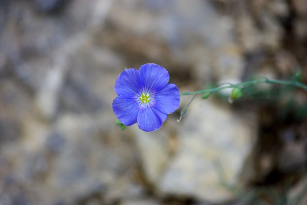 Photograph by Лилия Потравнова