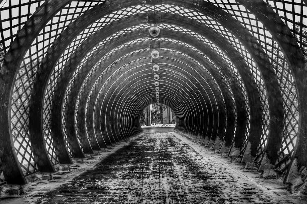 Photograph by Сергей Жигульский