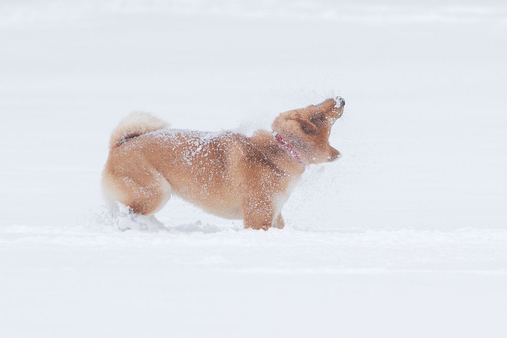 Photograph by Елена Иванова