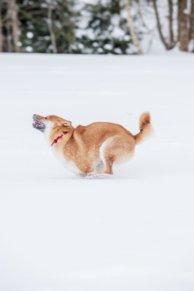 Photograph by Елена Иванова