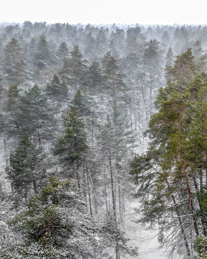 «ЗИМНИЙ ДЕНЬ в СОЛОТЧЕ»