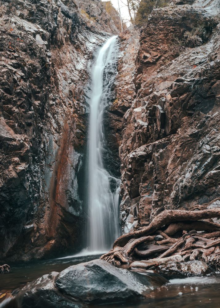 Photograph by 