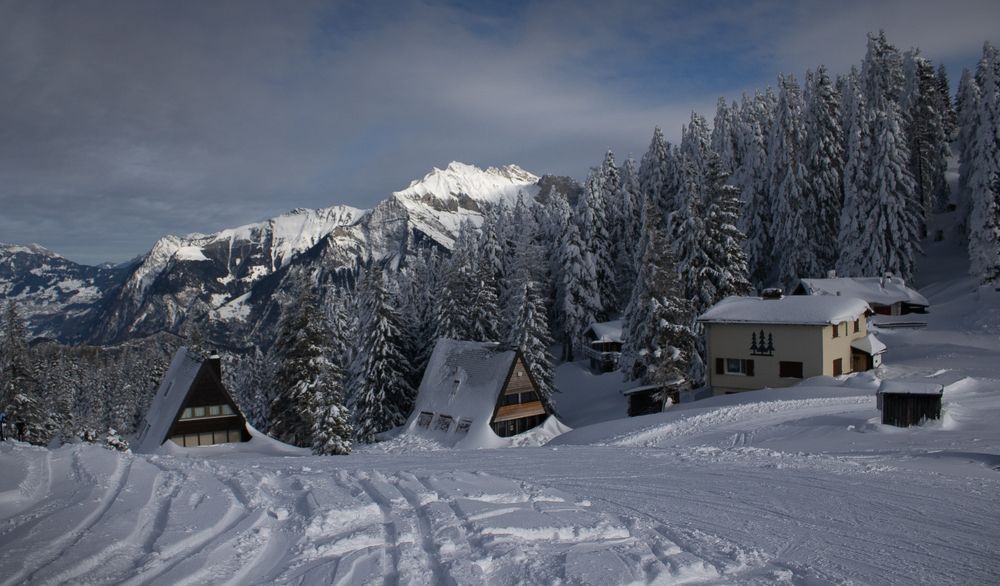 Photograph by Mariia Muratova