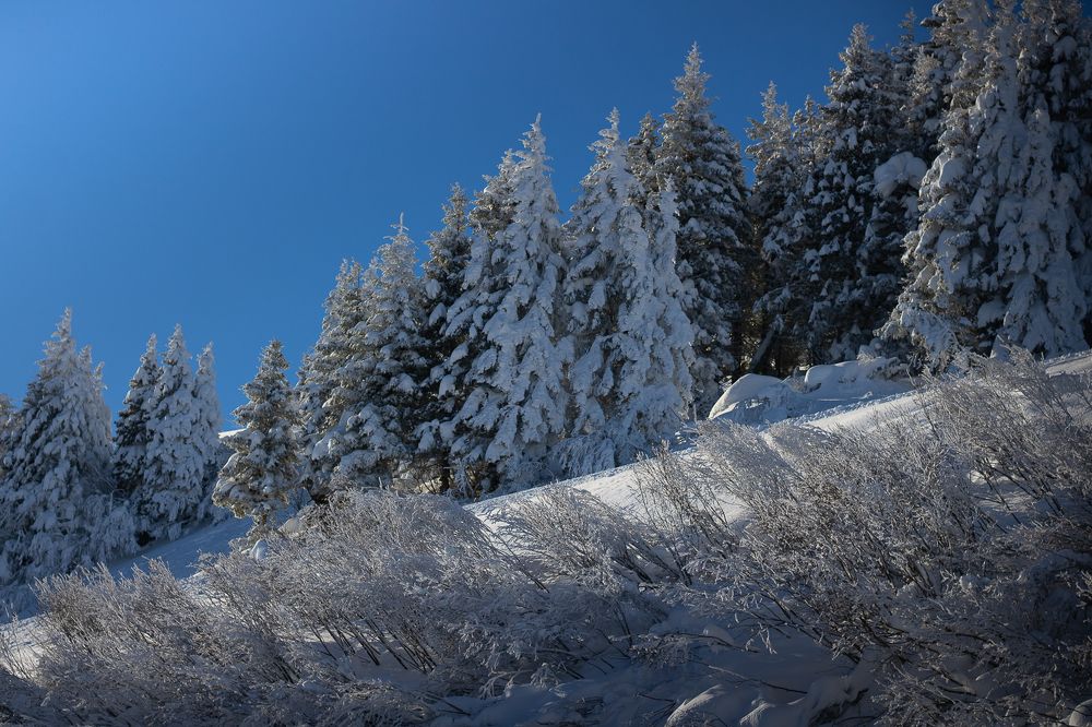 Photograph by Mariia Muratova