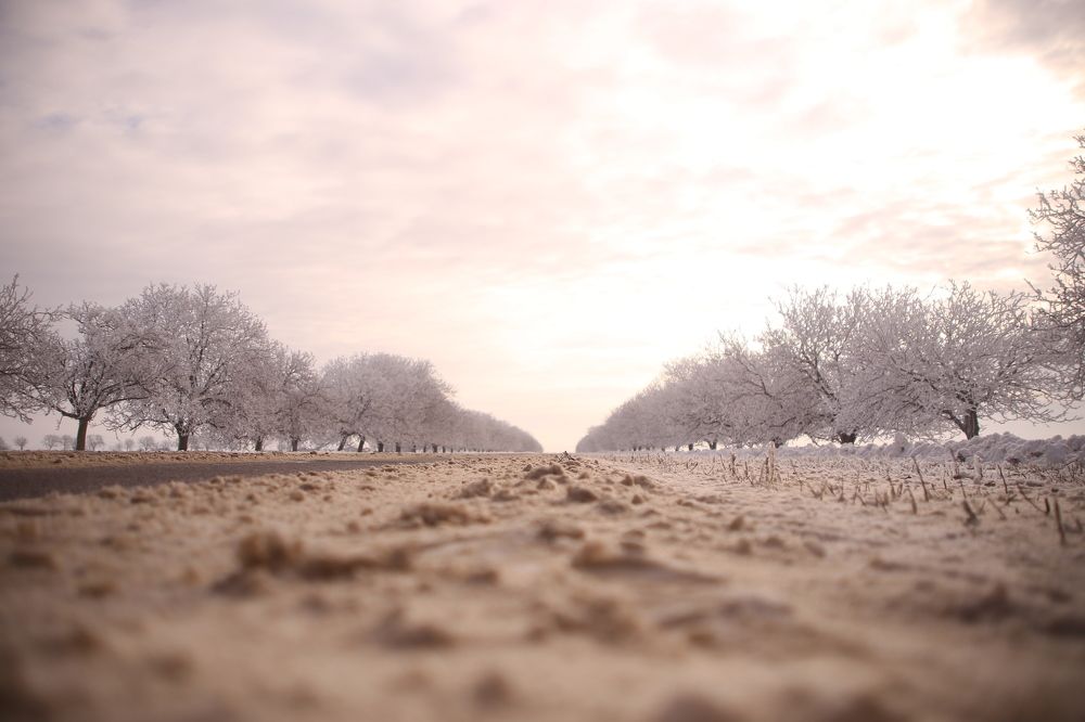 White Road