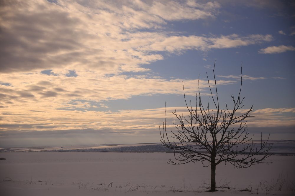 Alone at winter sunset