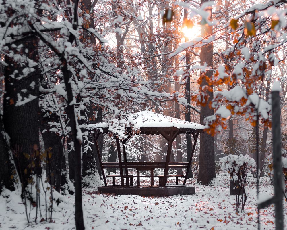 Winter scenery with a wooden gazebo