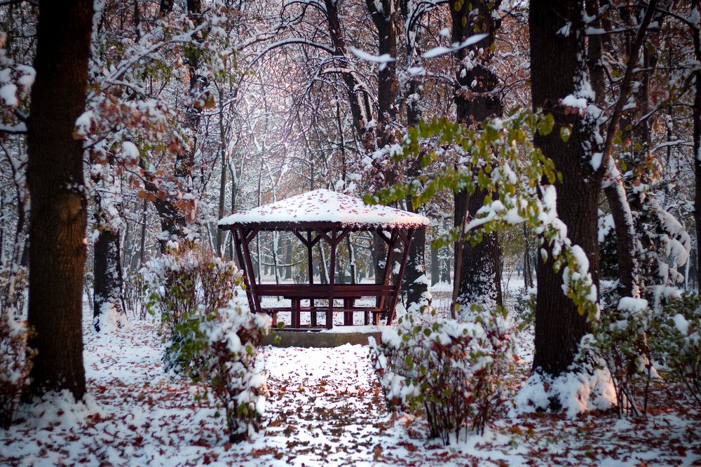 Winter scenery with a wooden gazebo in Borisova gradina park