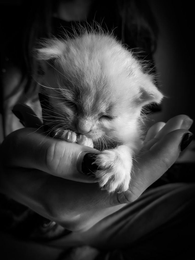 Photograph by Malgorzata Lemiec