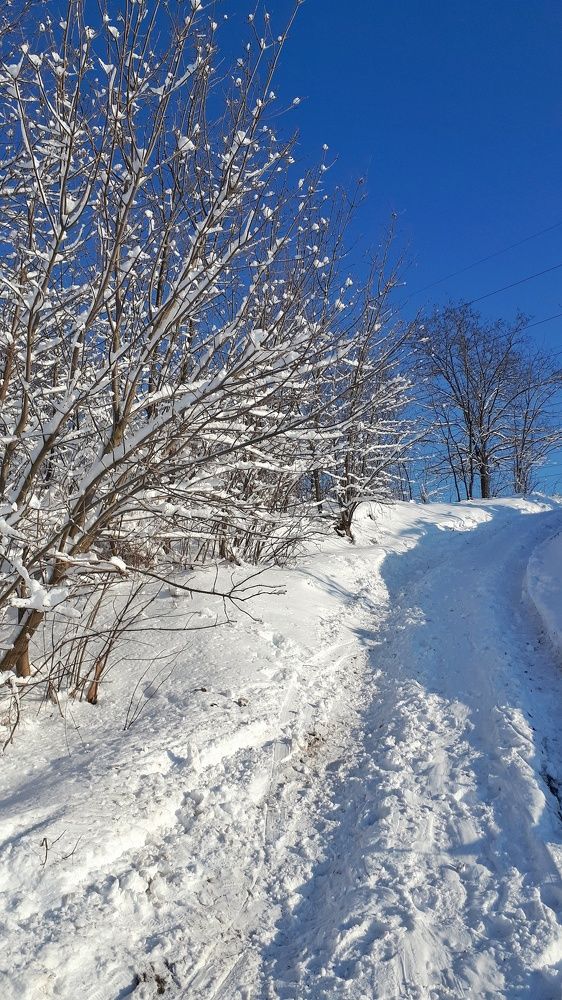 Photograph by Katerina Akalifa